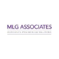 MLG Associates, CA Firm in Faridabad