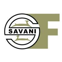 Savani Financials Limited